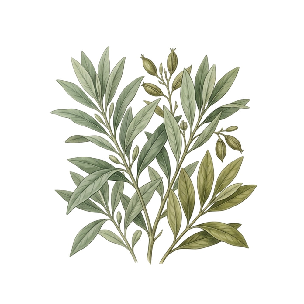 Thwkm Botanical Wall Art Framed Green 16 x 20 in